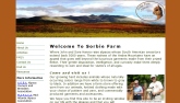 Sorbie Farm Alpacas Website
